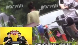 记者爆料张颖颖视频播放